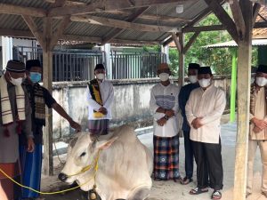 Pemprov Lampung Berkurban 36 Sapi dan 10 Kambing