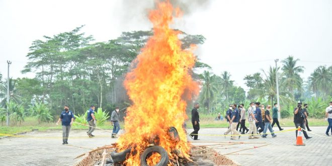 Kapolda Lampung Pimpin Pemusnahan Barang Bukti Narkoba, Ratusan Kilo Jenis Ganja dan Sabu Serta Ribuan Butir Pil Extacy