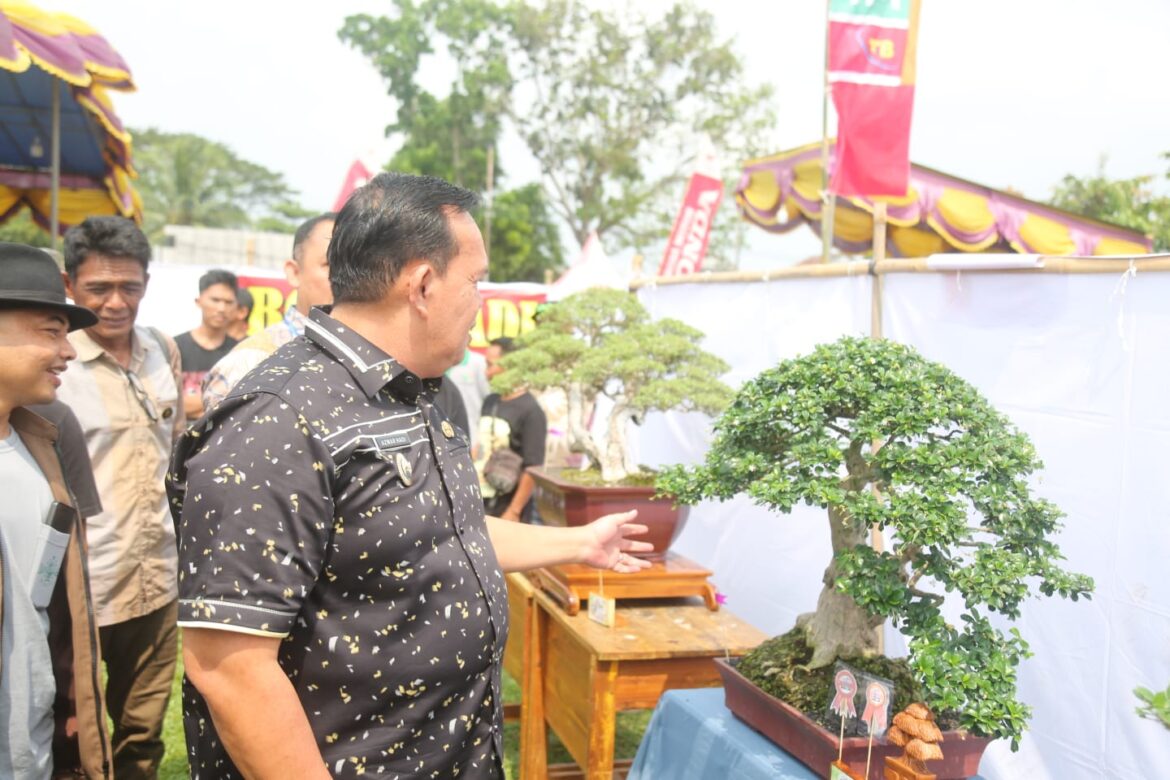 WAY JEPARA, Wakil Bupati Lampung Timur Azwar Hadi Hadiri Dalam Acara Pembukaan Pemeran Lokal Terbuka Bonsai di Lapangan Merdeka Way Jepara