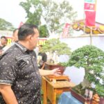 WAY JEPARA, Wakil Bupati Lampung Timur Azwar Hadi Hadiri Dalam Acara Pembukaan Pemeran Lokal Terbuka Bonsai di Lapangan Merdeka Way Jepara