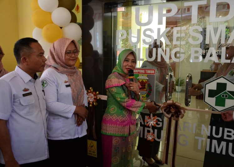 Pemkab Lamtim Resmikan UPTD Puskesmas Tulung Balak