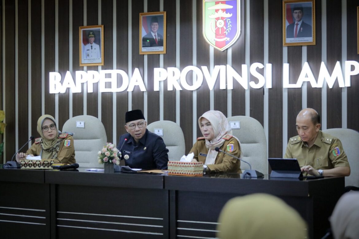 Program Presiden ,Gubernur Mirza Lakukan Sinkronisasi RPJMD Provinsi Lampung dengan RPJMN