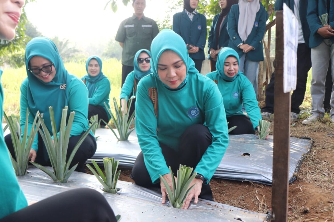 TP. PKK Provinsi Lampung dan Mitra Sepakati Percepatan Pengembangan Kawasan PKK Agropark