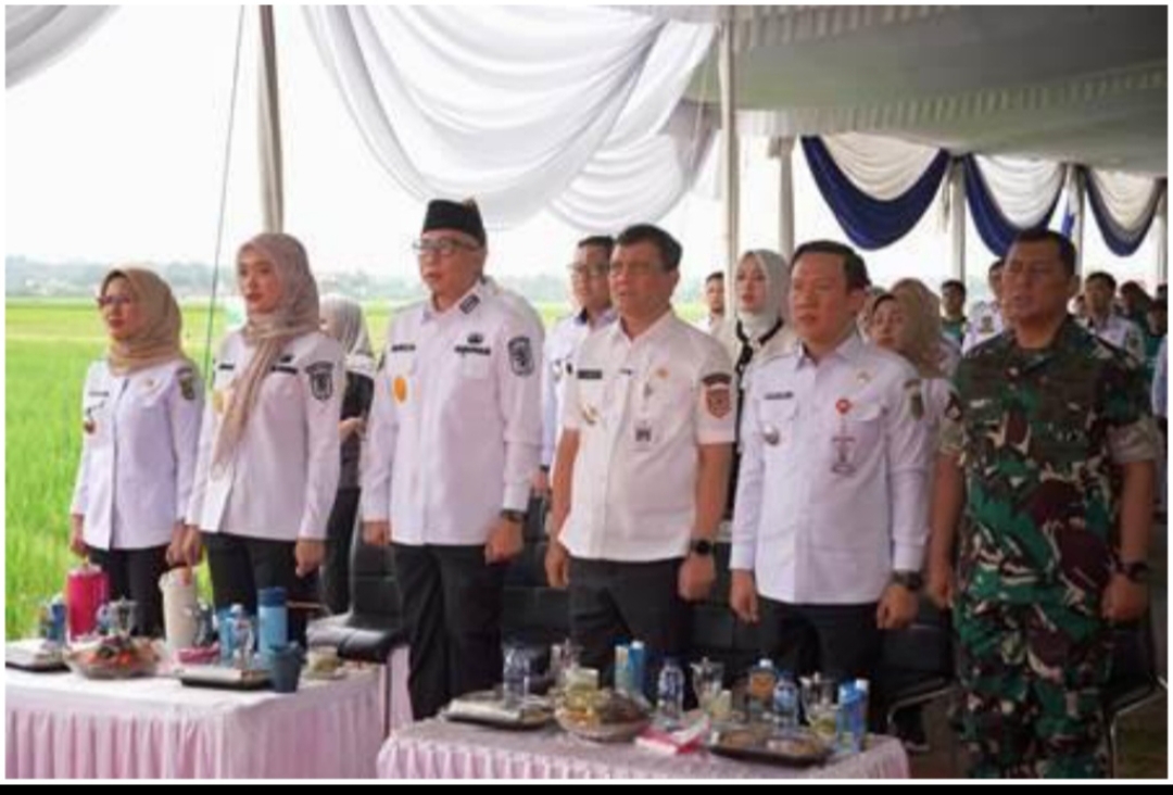 Produksi Padi Lampung Naik, Petani Nikmati  Dampak Swasembada Pangan Nasional –