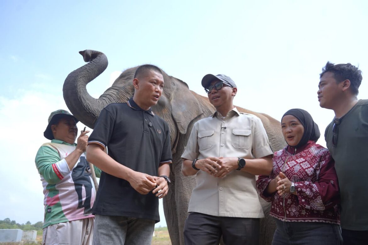 Pemprov Lampung dan TNI-Polri Perkuat Mitigasi TNWK, Lindungi Gajah dan Warga